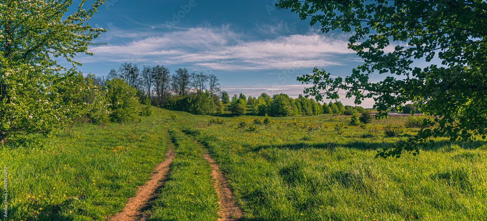 Naklejka premium Summer landscape