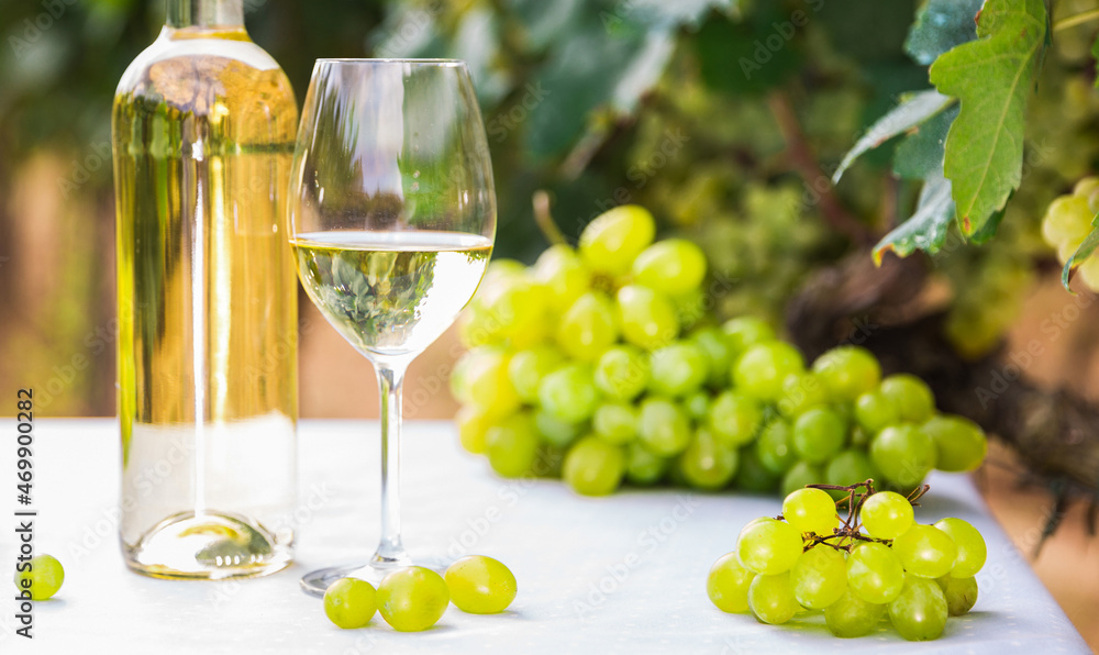 glass of White wine and ripe grapes on table in vineyard