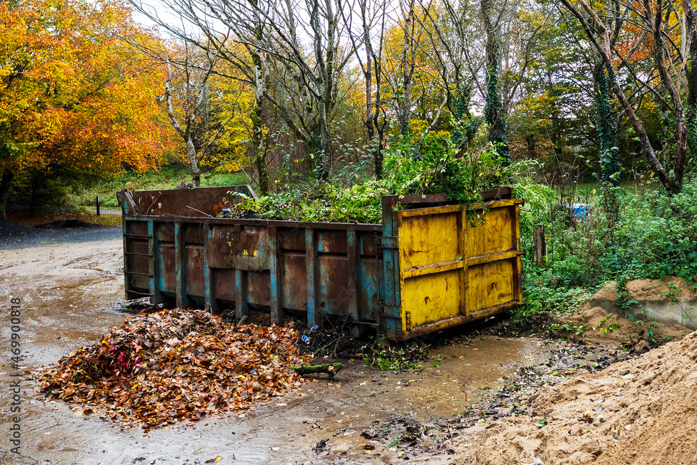 Big size metal skip in a park for fallen leaf and rubbish removal. Heavy industrial container to collect debris from a forest park on a specially designated area. Fall autumn season.