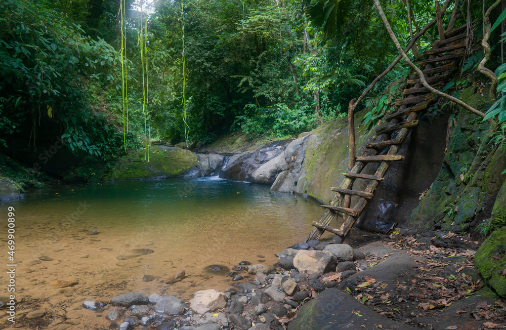 natural pool with stairs