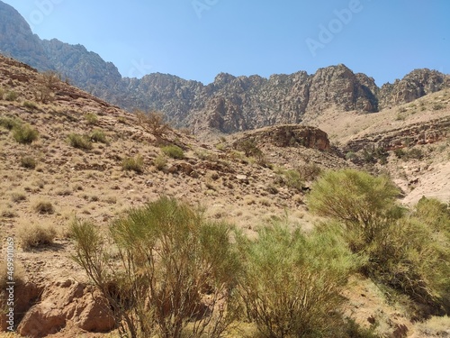 Dana, la plus grande réserve naturelle de Jordanie, marche en plein milieu d'une zone montagneuse rouge et blanche, avec un peu de verdure et de la forte chaleur, sans ombre, quelques arbustes vertes