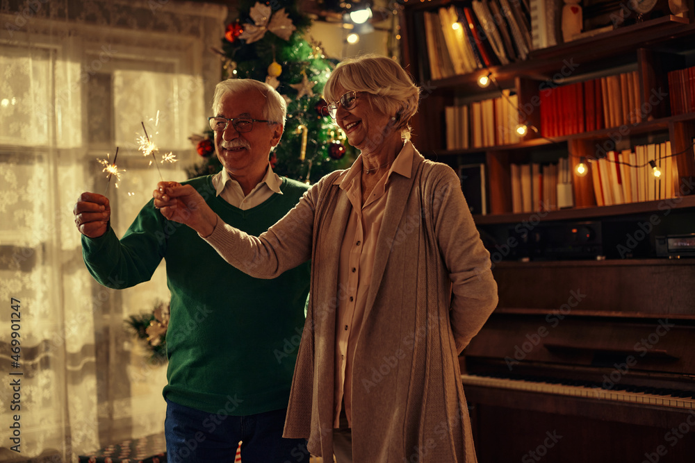 Sparkly Christmas at home for loving senior couple Sparkly Christmas at home for loving senior couple