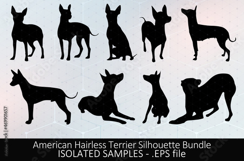 Vector isolated American Hairless Terrier Silhouette Bundle EPS, Dog Silhouette Collection