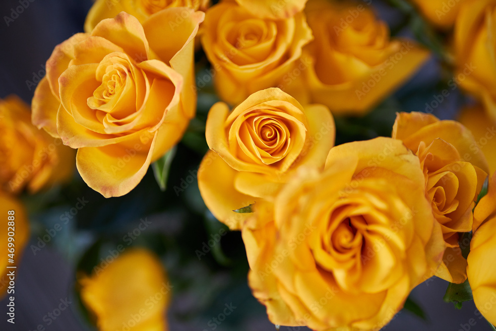 Yellow roses close-up. bouquet of roses. Background from yellow roses. Yellow roses close-up. bouquet of roses. Background from yellow roses.