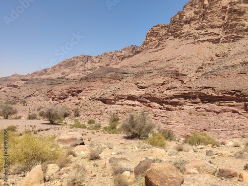 Dana, la plus grande réserve naturelle de Jordanie, marche en plein milieu d'une zone montagneuse rouge et blanche, avec un peu de verdure et de la forte chaleur, sans ombre, parcourir desert et herbe