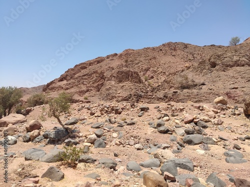 Dana, la plus grande réserve naturelle de Jordanie, marche en plein milieu d'une zone montagneuse rouge et blanche, avec un peu de verdure et de la forte chaleur, sans ombre, gros cailloux gris photo