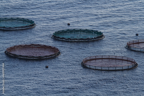 Aquaculture