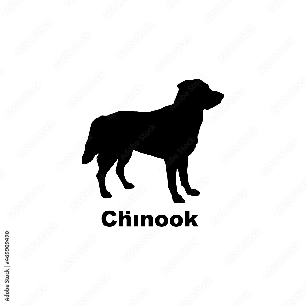 chinook chinook