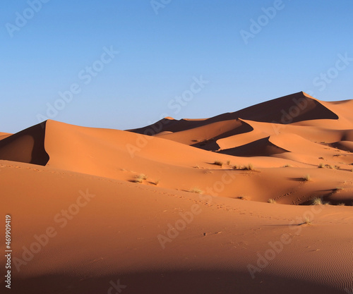 Desert and dunes by day. 