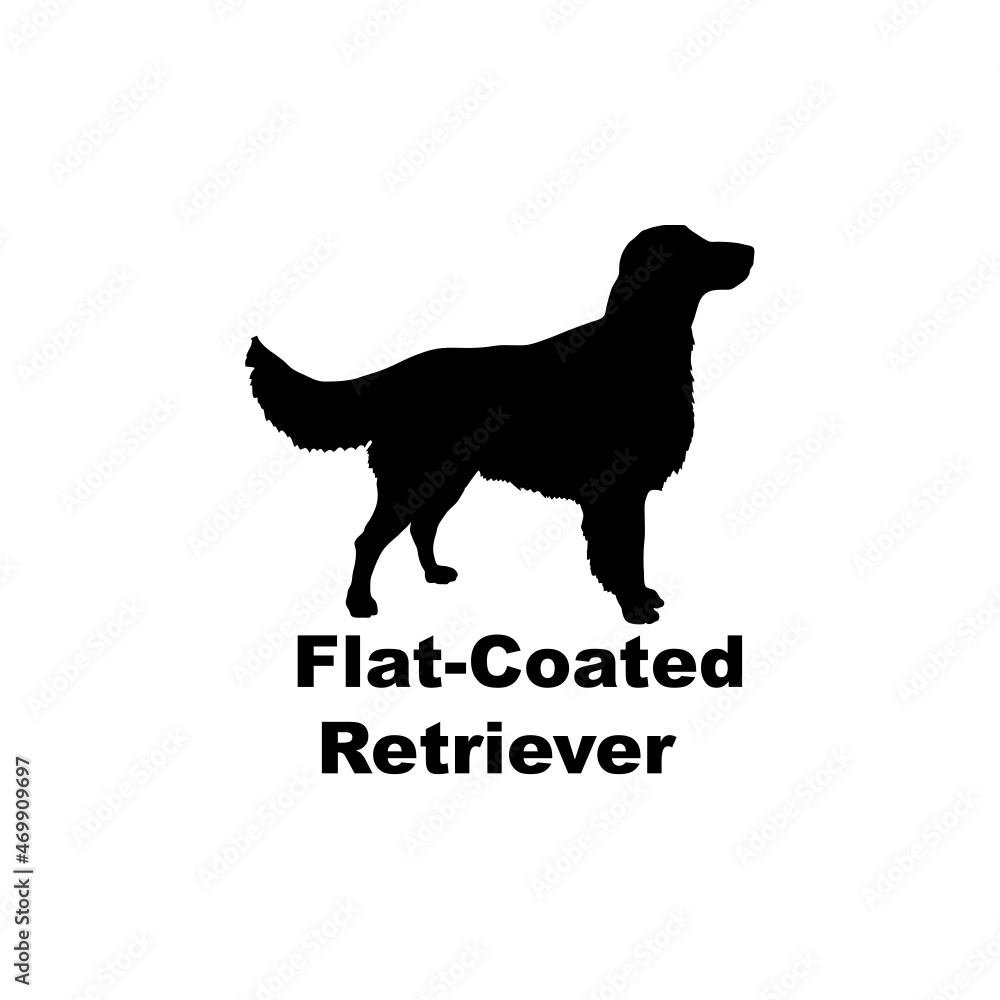 flat coatet.