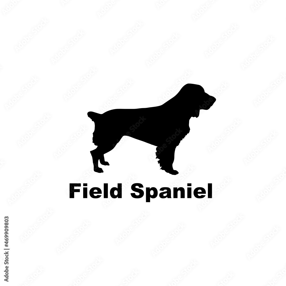 field spaniel
