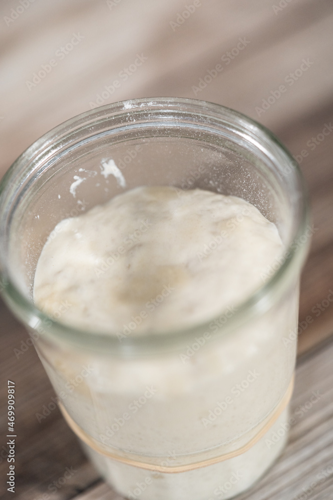 Sourdough starter Sourdough starter