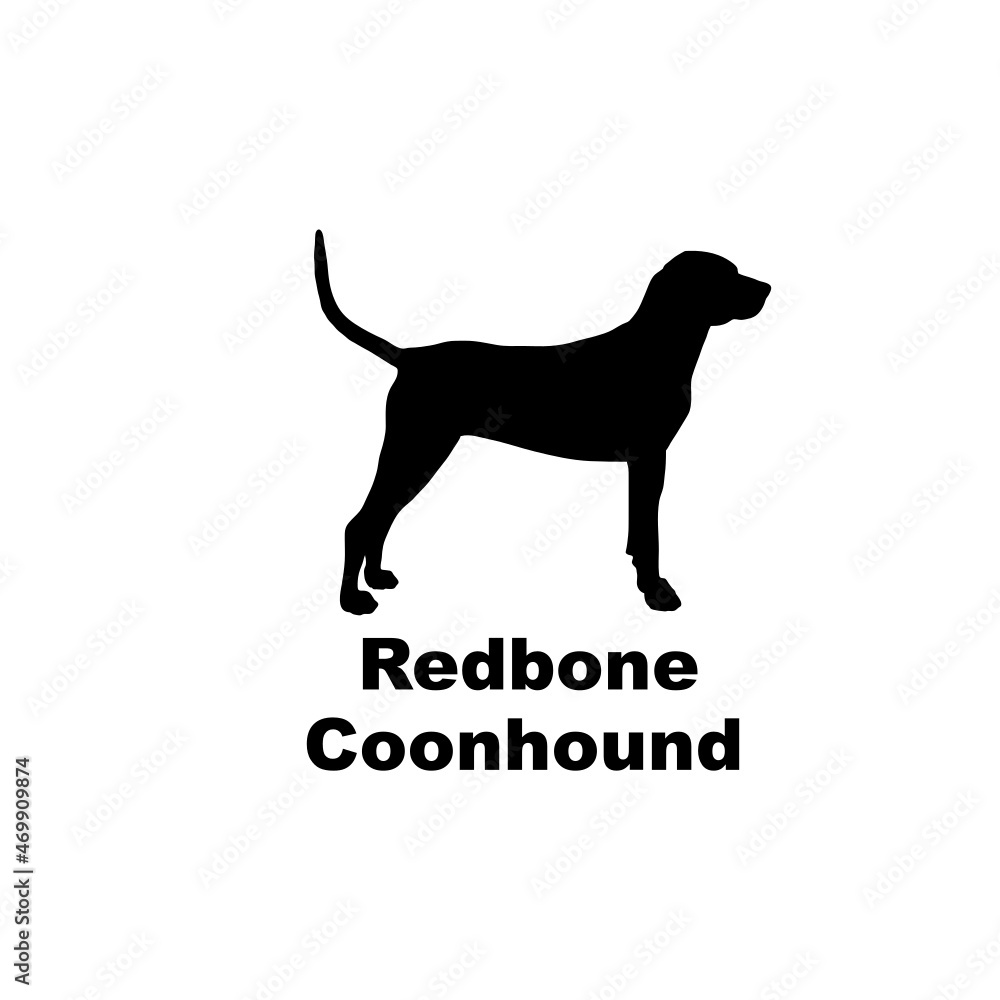 redbone coonhound.