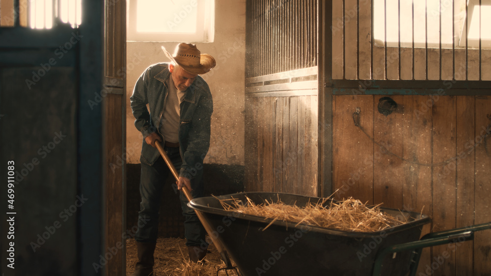 Aged farmer cleaning stall from hay - obrazy, fototapety, plakaty 