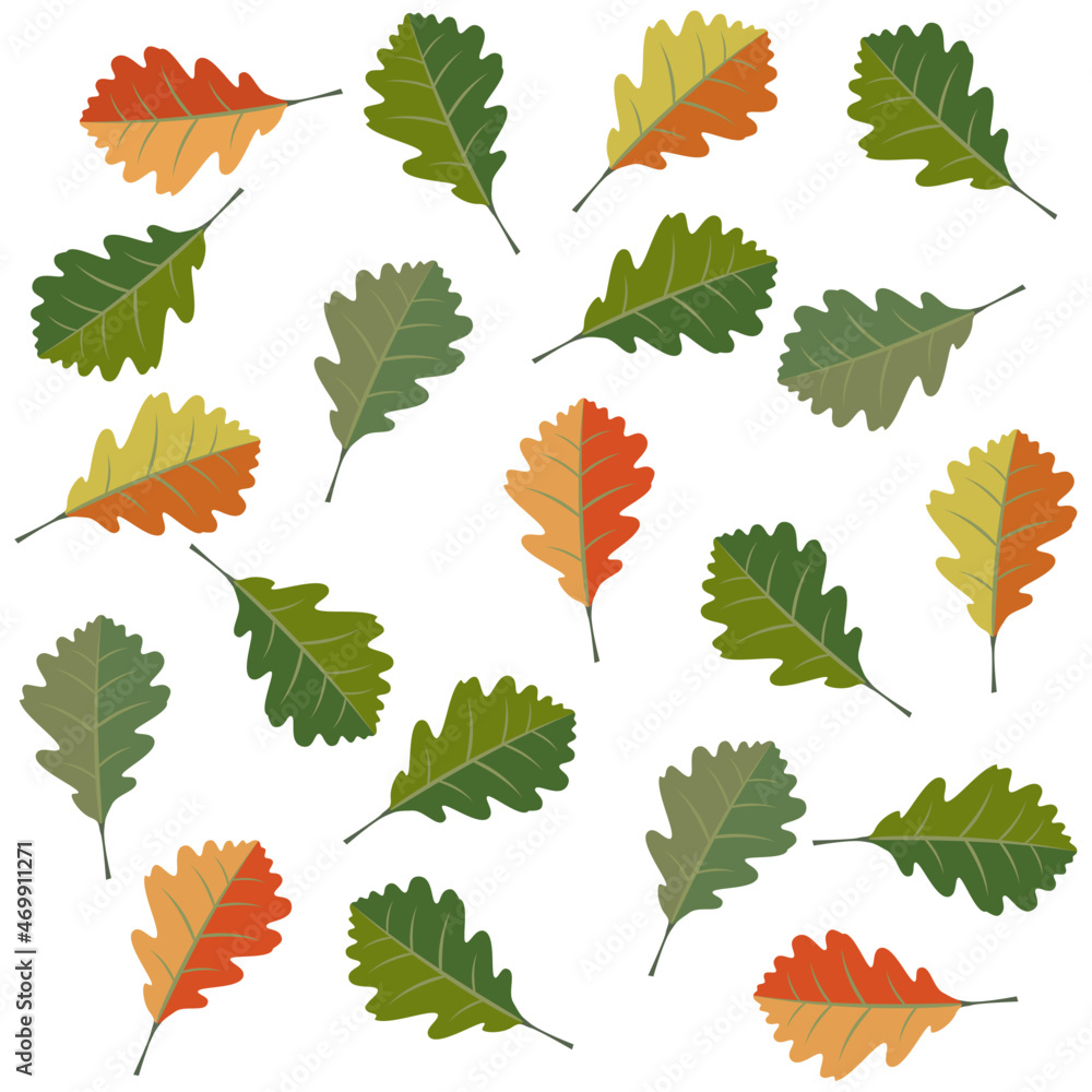 Set of autumn oak leaves on white background