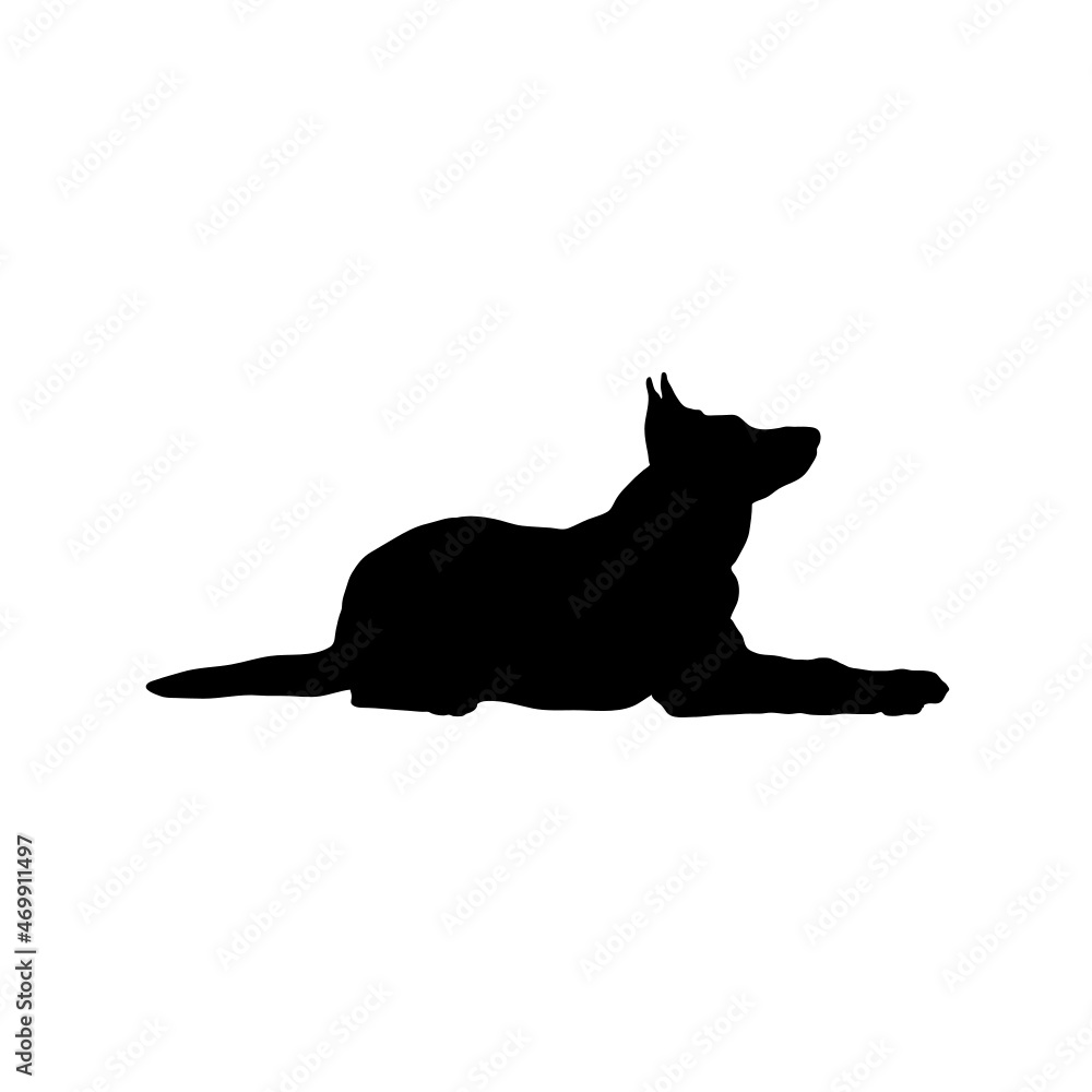 Naklejka premium Dog silhouette. Breeds