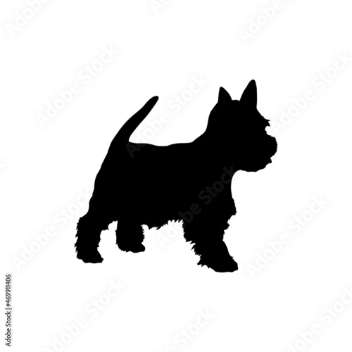Dog silhouette. Breeds