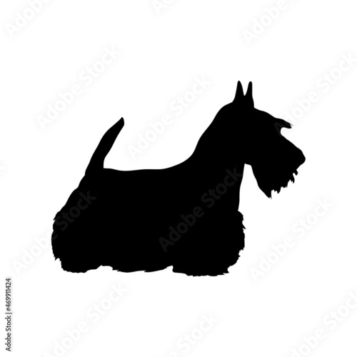 Dog silhouette. Breeds