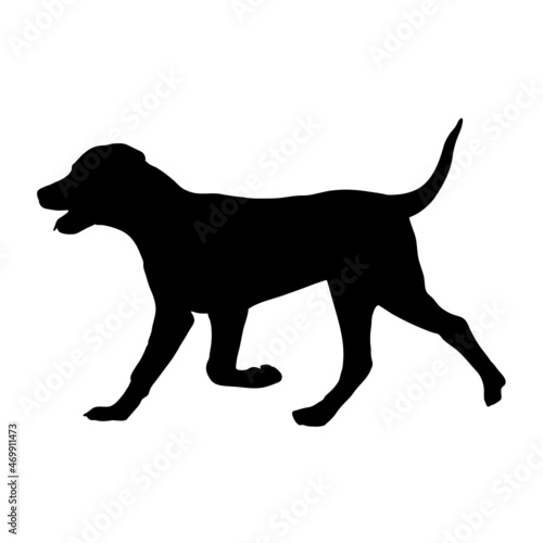 Dog silhouette. Breeds