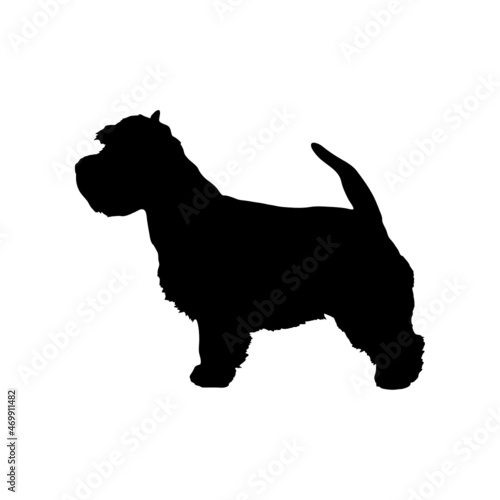 Dog silhouette. Breeds