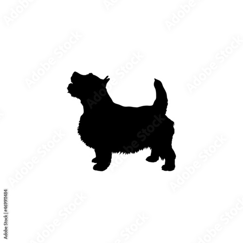 Dog silhouette. Breeds
