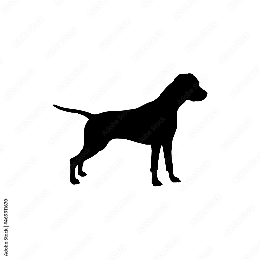 Dog silhouette. Breeds