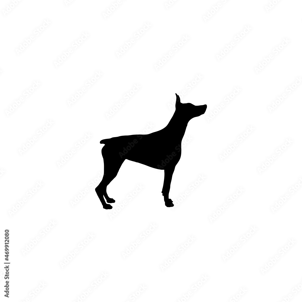 Dog silhouette. Breeds