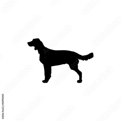 Dog silhouette. Breeds