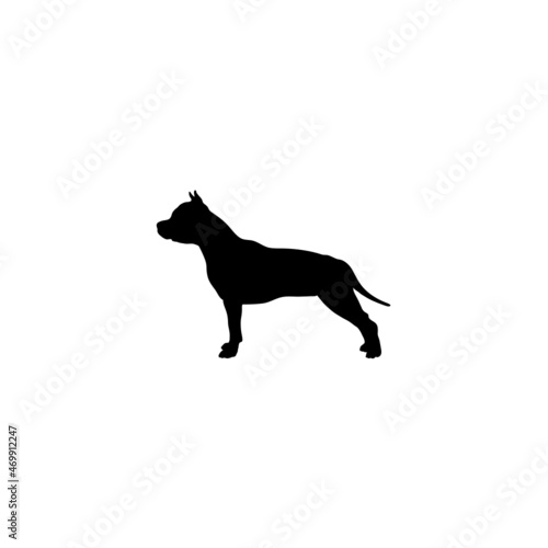 Dog silhouette. Breeds © Pony 3000