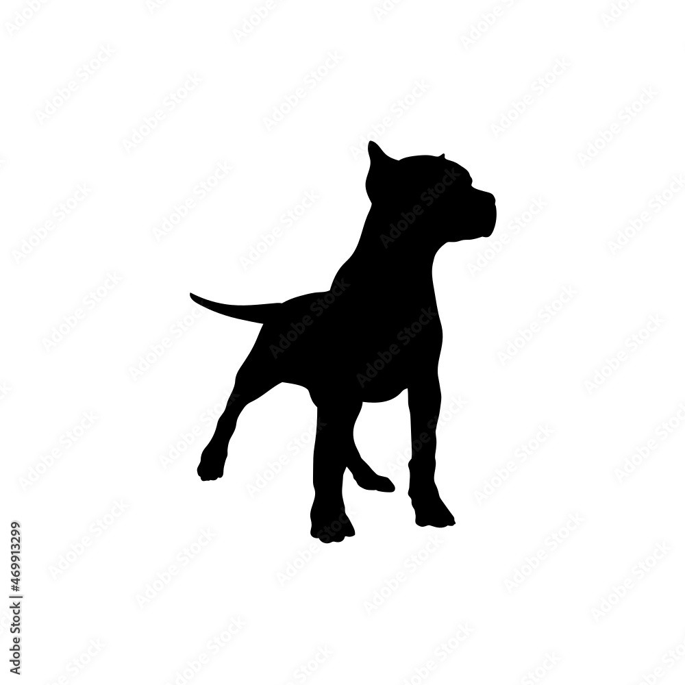 Obraz premium Dog silhouette. Breeds