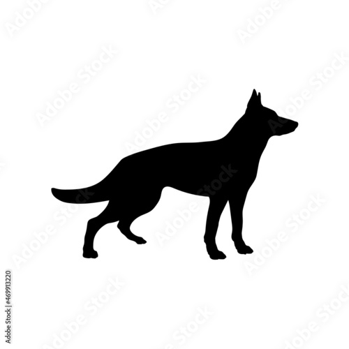 Dog silhouette. Breeds