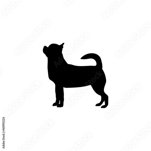 Dog silhouette. Breeds