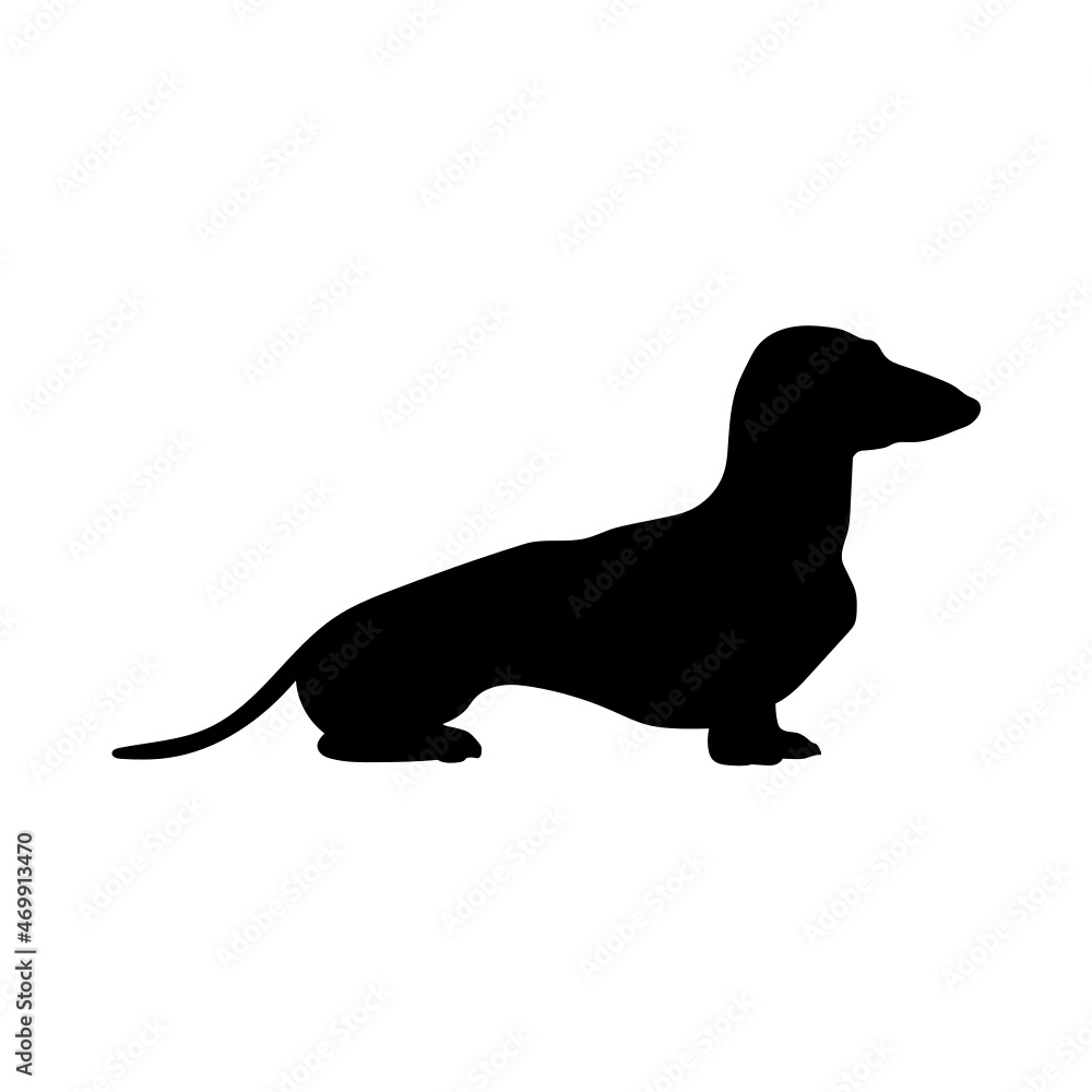 Dog silhouette. Breeds