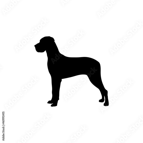 Dog silhouette. Breeds