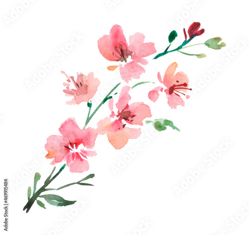 watercolor Branch of Cherry blossom tree. spring branch with pink flowers