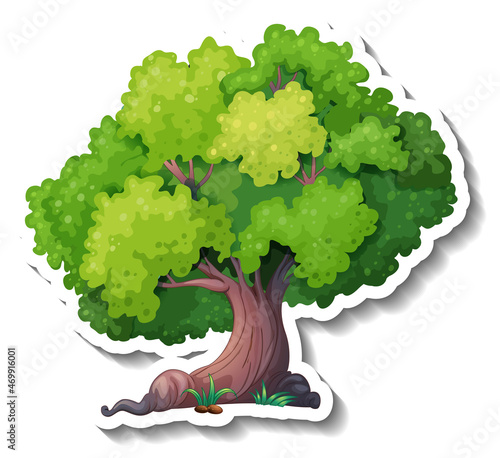 Tree sticker on white background
