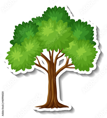Tree sticker on white background