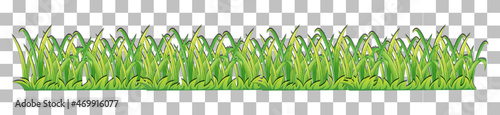 Grass and plants on transparent background for decor