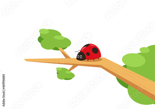 ladybug vector. ladybug on white background. wallpaper. tree stick vector. Ladybug insects on the branches.