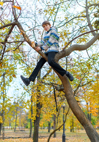 Portrait of a boy in an autumn park. The child climbed a tree and playing.