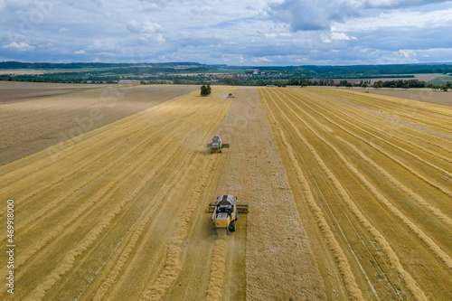 Fototapeta Combine harvesters harvest wheat in the field, photo from a drone