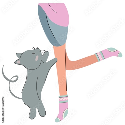 A cute gray kitten stands on its hind legs and reaches out to its owner. Happy kitten communicates with a woman. Young girl, friendly games, happy owners. Colorful hand drawn vector flat cartoon