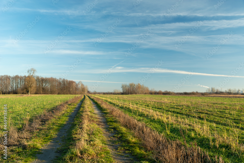A dirt road through farmland and a clear sky