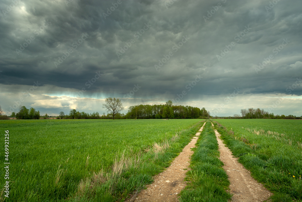 Road through green fields and cloudy sky