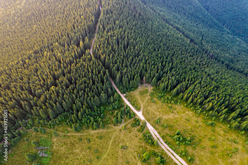 Top down aerial view of mountain covered with coniferous forest. Curved road between trees. Colorful morning  mountans. Ukraine photo