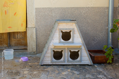 A shelter for street cats relaxes in historic centre of Krk Town on Krk Island in the Primorje-Gorski Kotar County of western Croatia
 photo