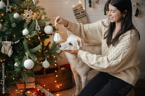 Stylish woman in cozy sweater and adorable dog decorating christmas tree with modern white bauble in festive decorated scandinavian room. Cute white dog helping owner. Pet and winter holidays