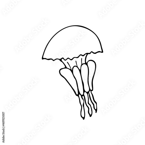 Doodle sea jellyfish. Inhabitant of the coral reef. Invertebrate animal of the ocean, seabed, oceanarium. Hand drawn thin line art vector illustration. Isolated simple element.
