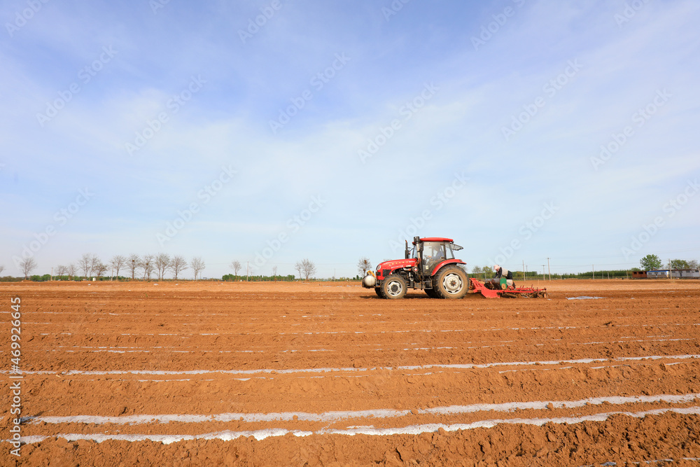 Farmers use planters to plant mulched peanuts in North China Farmers use planters to plant mulched peanuts in North China