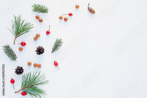 Christmas composition. Pine green branches, pine cones, hazelnuts, acorns, red berries on white background, frame, corner. Christmas background, top view, horizontal image, copy space.